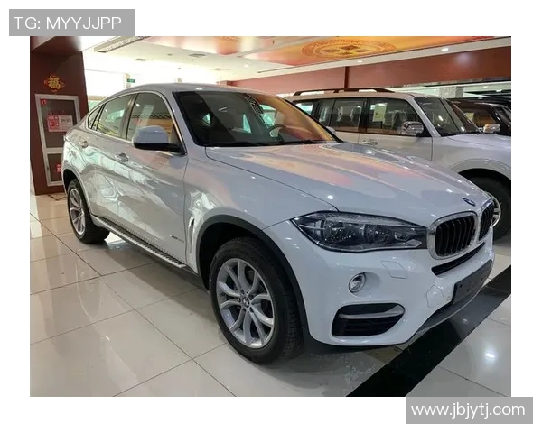 深度对话杨强篮球人生的起伏与梦想追逐之路 深度对话杨强篮球人生的起伏与梦想追逐之路